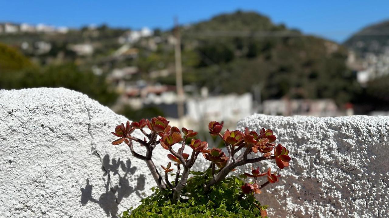 Villa La Milanina Lipari  Exteriör bild